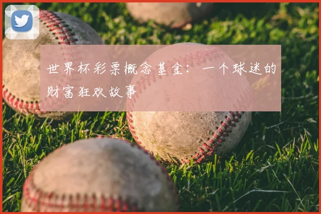 世界杯彩票概念基金：一个球迷的财富狂欢故事
