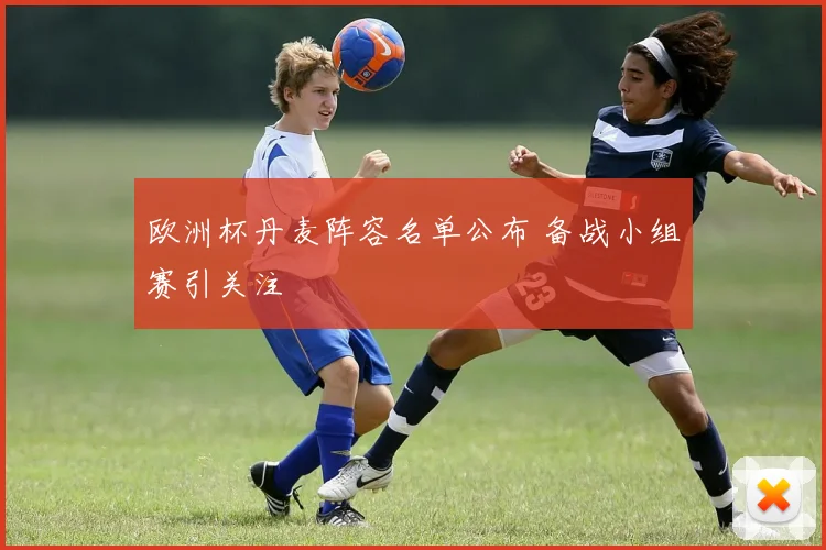 欧洲杯丹麦阵容名单公布 备战小组赛引关注