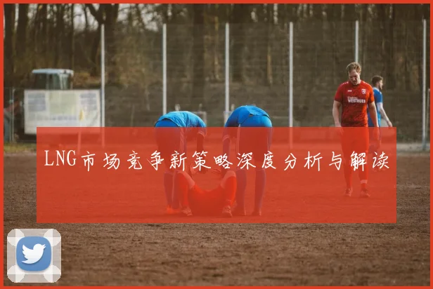 LNG市场竞争新策略深度分析与解读