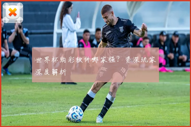 世界杯购彩软件哪家强？资深玩家深度解析