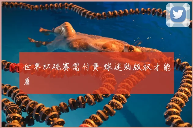 世界杯观赛需付费 球迷购版权才能看