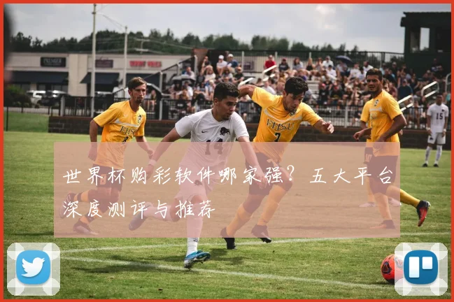 世界杯购彩软件哪家强？五大平台深度测评与推荐