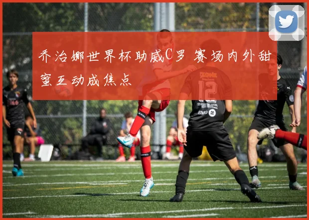 乔治娜世界杯助威C罗 赛场内外甜蜜互动成焦点