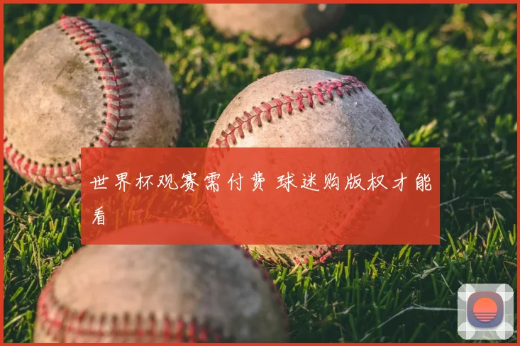 世界杯观赛需付费 球迷购版权才能看