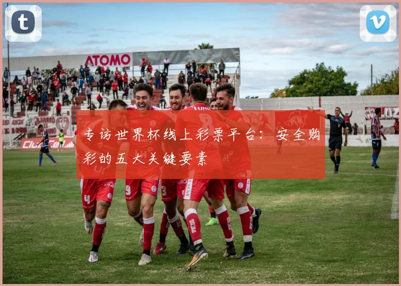 专访世界杯线上彩票平台：安全购彩的五大关键要素