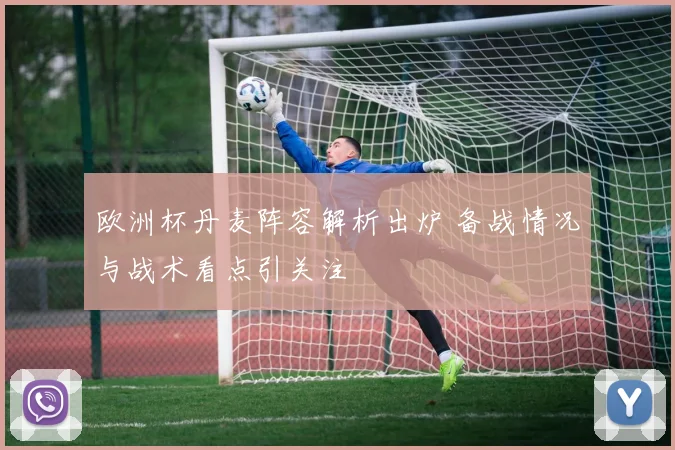 欧洲杯丹麦阵容解析出炉 备战情况与战术看点引关注