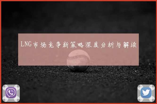 LNG市场竞争新策略深度分析与解读